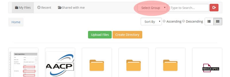 File Groups can be selected by users on Frontend in File uploader