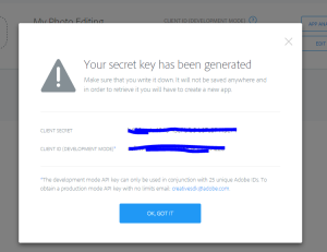 3- finally you can copy your secret key as API Key